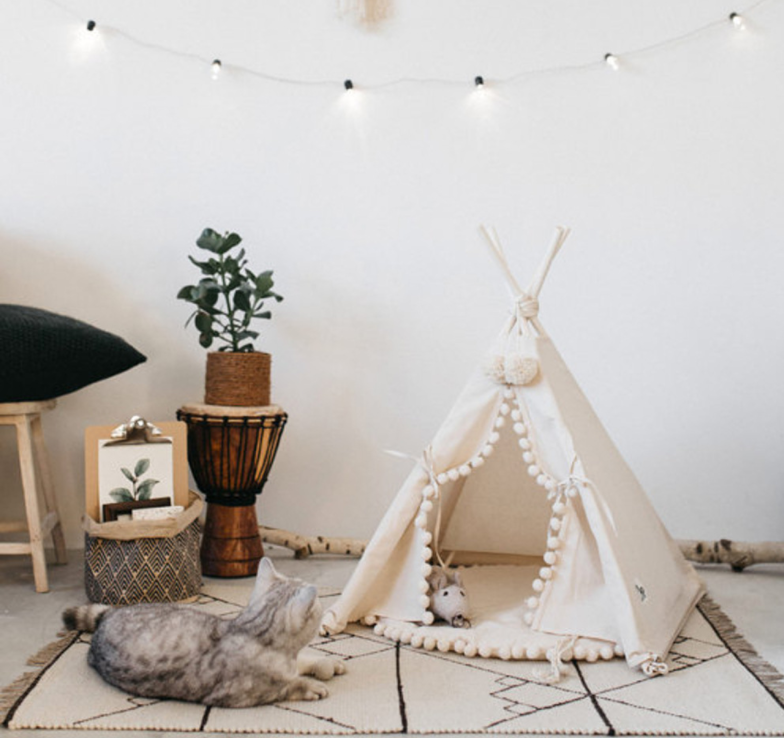 Paws Play: Cozy Pet Teepee