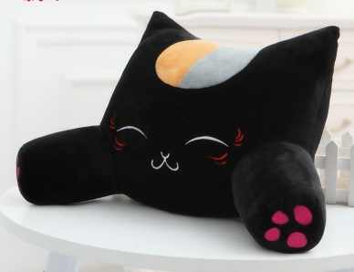Kitty Cuddle Cushion