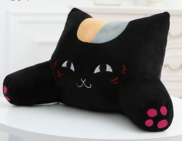 Kitty Cuddle Cushion