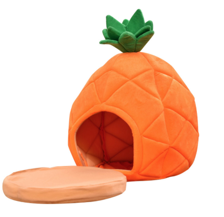 Fruity Paws: Fruit-Themed Pet Beds