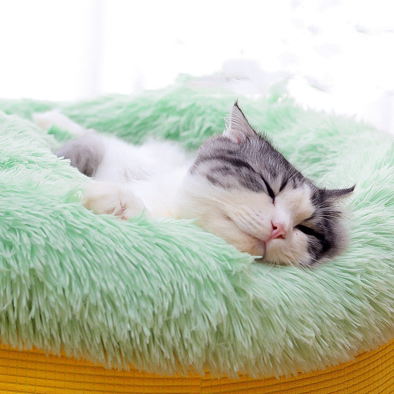 Plush Nest Pet Bed