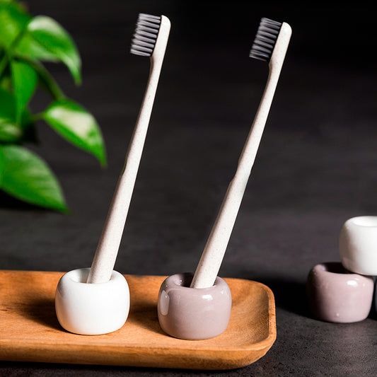 Ceramic Oasis: Toothbrush Holder