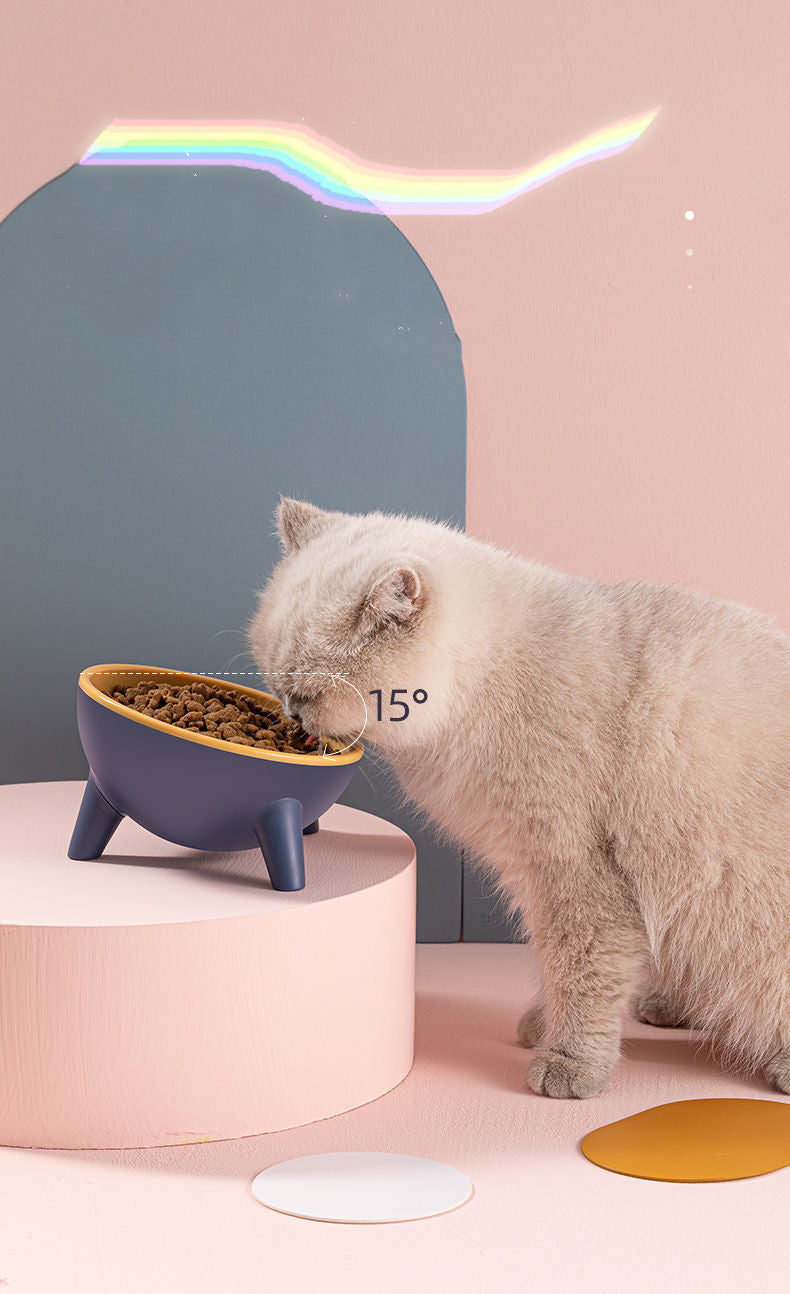 ElevatePaws: Stand Pet Food Bowls