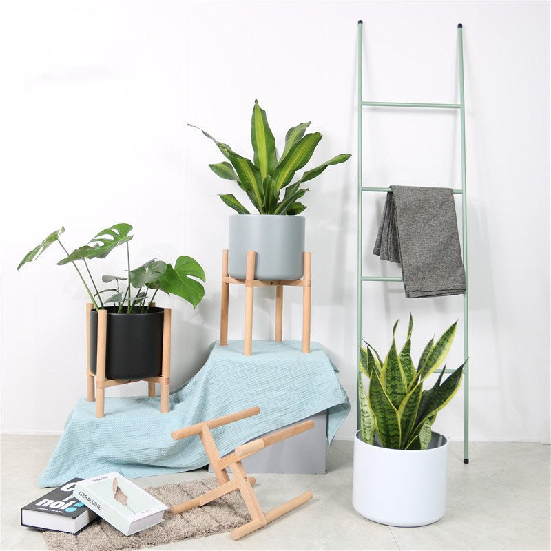 Urban Oasis: Coloured Matte Ceramic Plant Pots with Wooden Stands