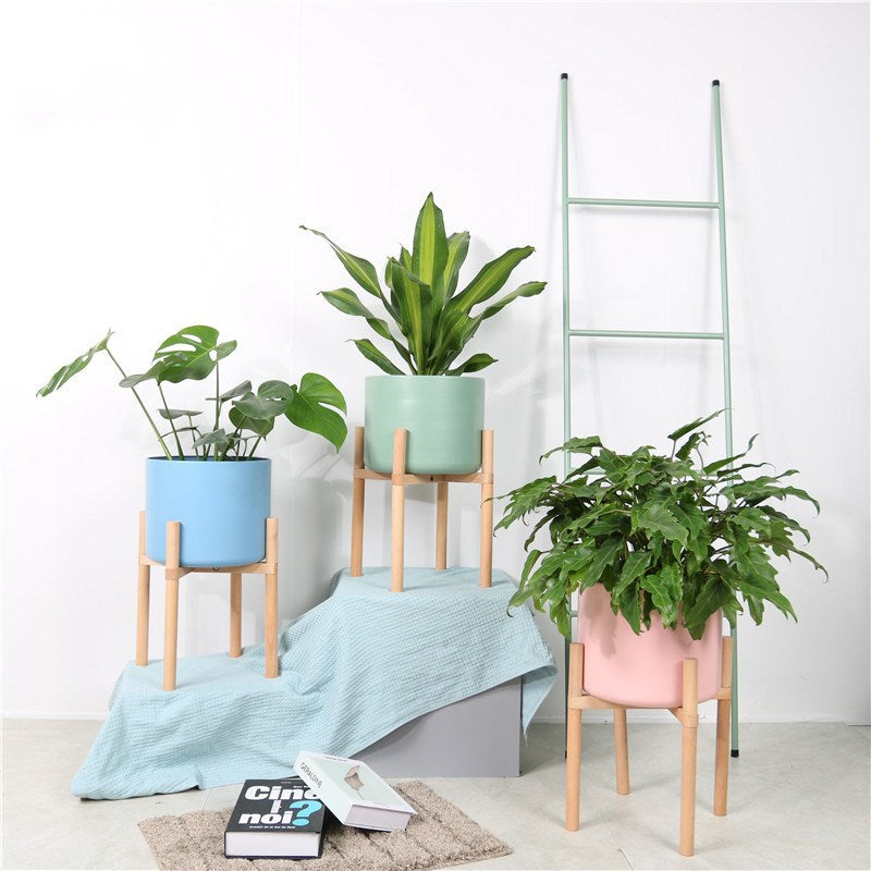 Urban Oasis: Coloured Matte Ceramic Plant Pots with Wooden Stands