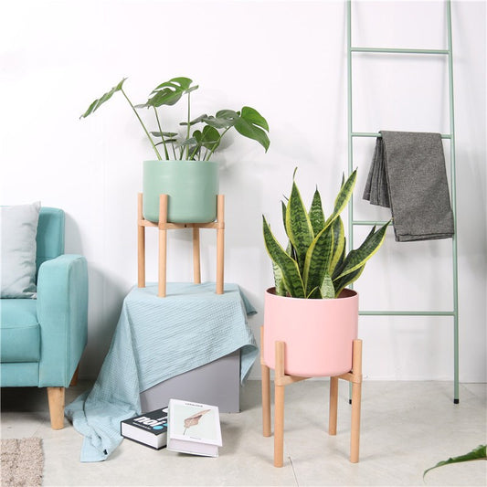 Urban Oasis: Coloured Matte Ceramic Plant Pots with Wooden Stands