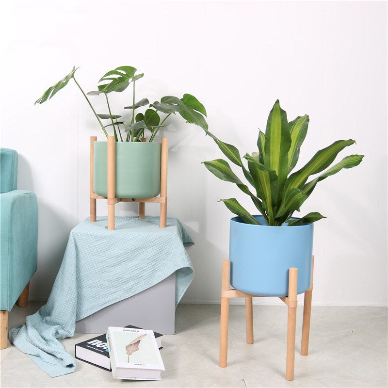 Urban Oasis: Coloured Matte Ceramic Plant Pots with Wooden Stands