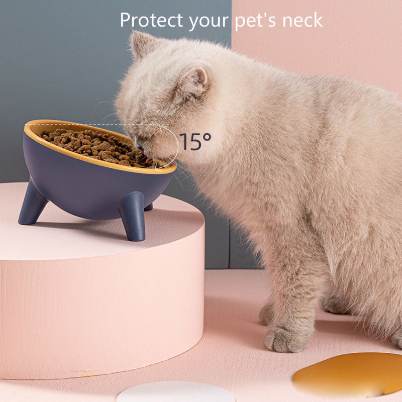 ElevatePaws: Stand Pet Food Bowls