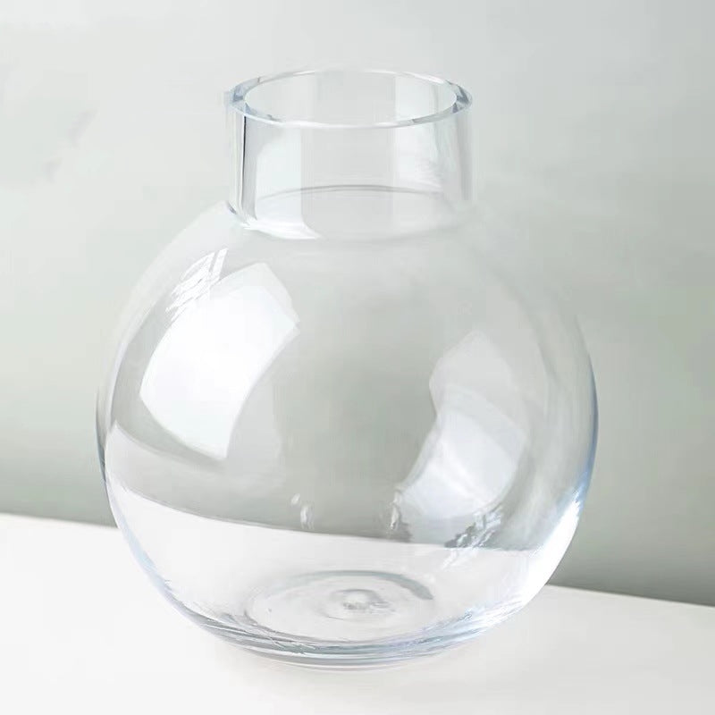 Crystal Clear: Glass Hydroponic Flower Vase