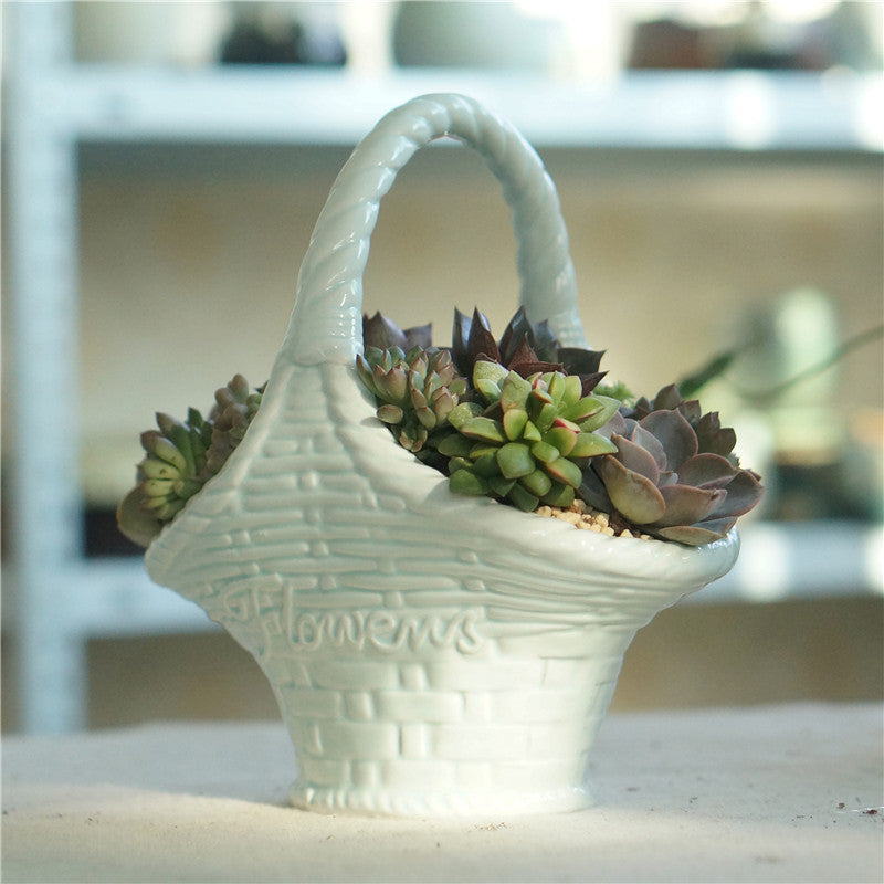 Swan Serenity: Succulent Plant Pot