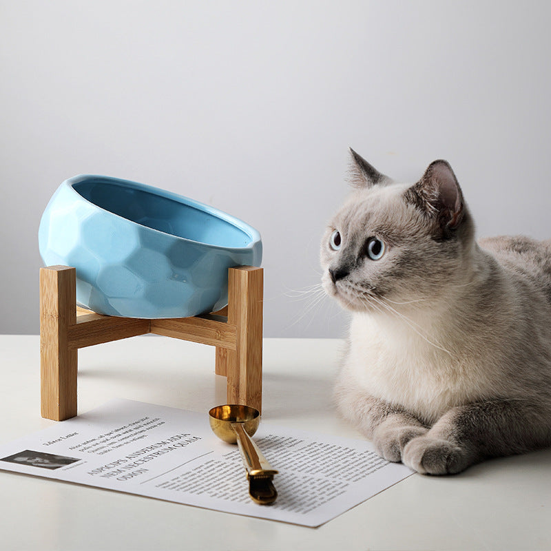 Pet Paradise Textured Coloured Bowl Stand