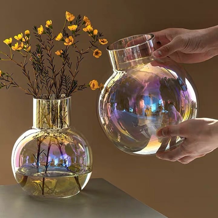 Crystal Clear: Glass Hydroponic Flower Vase