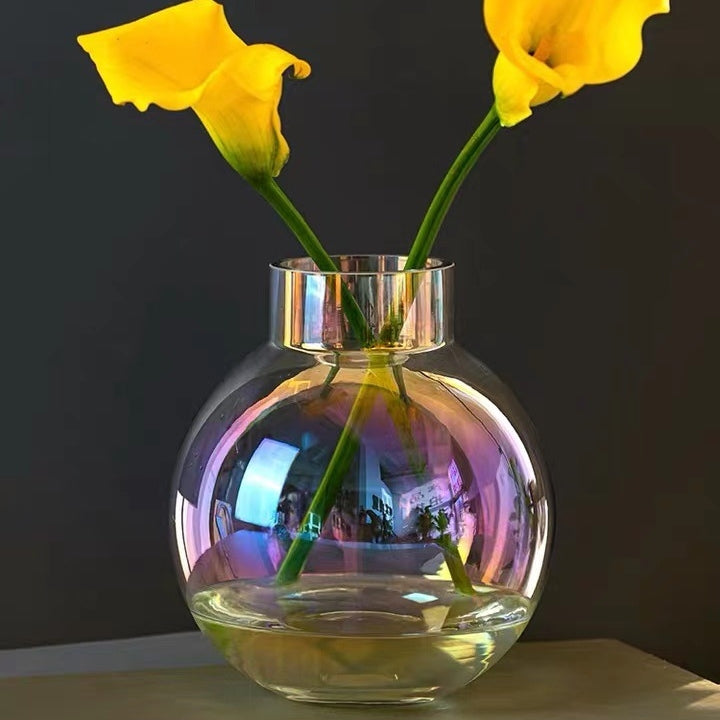 Crystal Clear: Glass Hydroponic Flower Vase