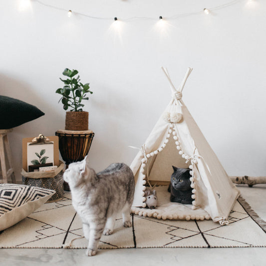 Paws Play: Cozy Pet Teepee