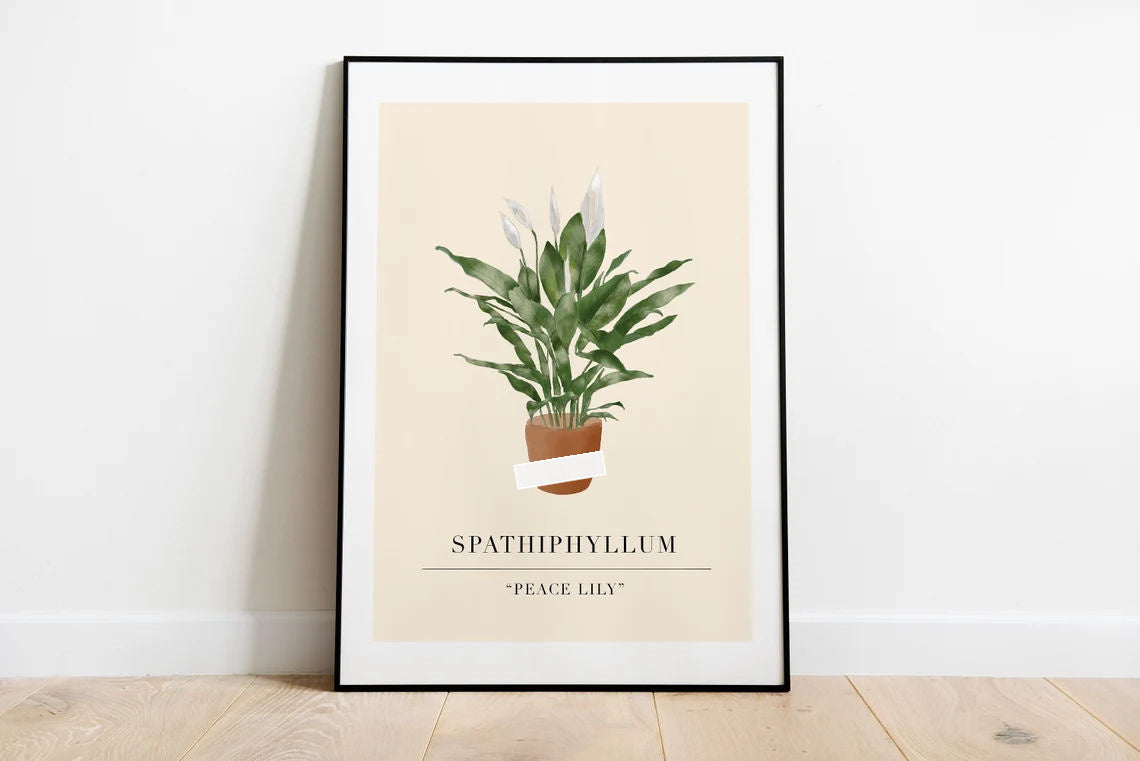 Vintage Spirits: Classic Cocktail Wall Art