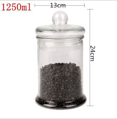 Glass Sealed Storage Jar