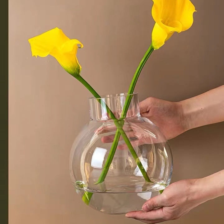 Crystal Clear: Glass Hydroponic Flower Vase