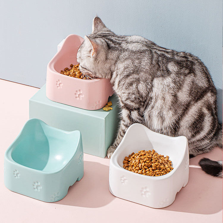 Pawsome Pottery: Adorable Ceramic Pet Bowl