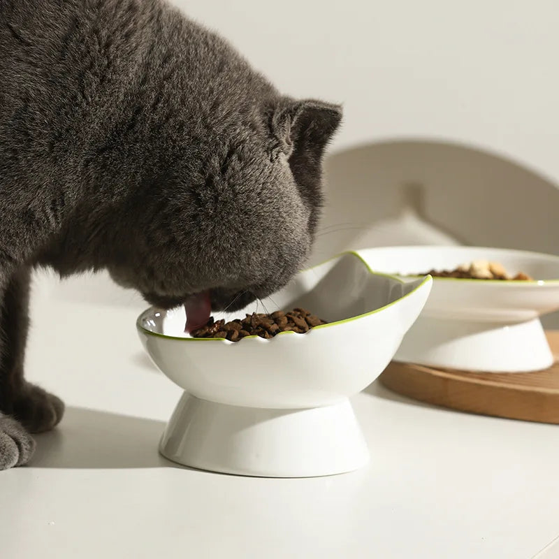 Paws Up Elevated Pet Bowls"