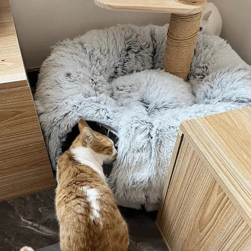 Fluffy Haven Multifunctional Cat Tunnel Bed