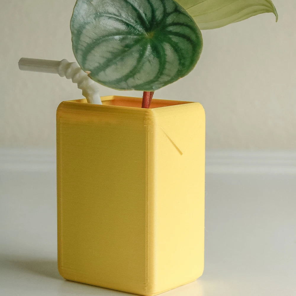 Juicy Ceramique: Petite Juice Box Vases