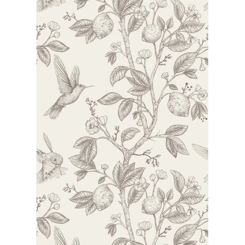 Ink Birds Self Adhesive Wallpaper