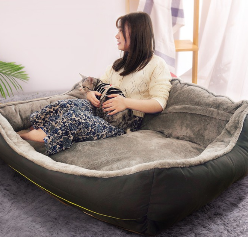 Cozy Canine Sofa Bed