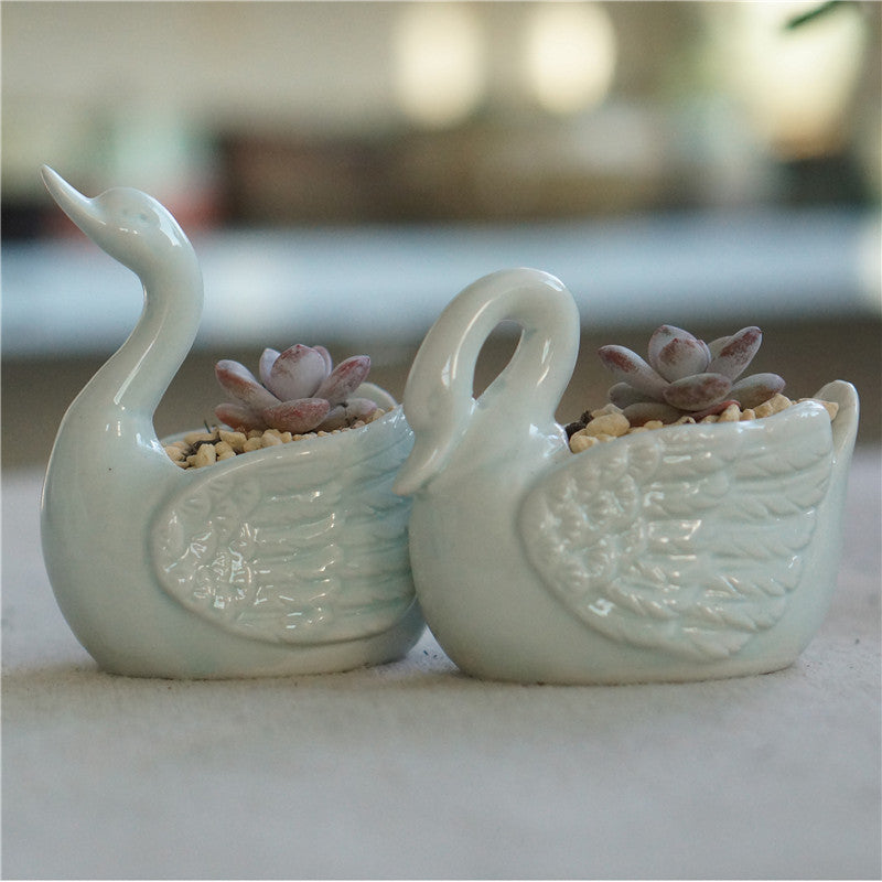 Swan Serenity: Succulent Plant Pot