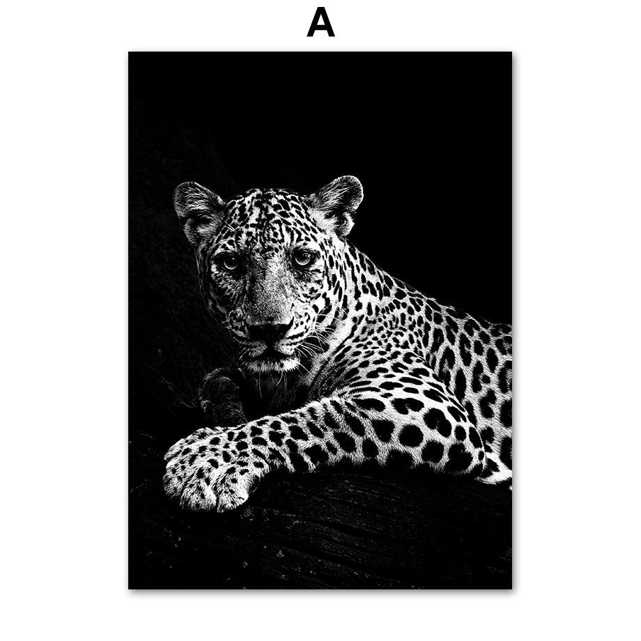 Black and White Animal Art