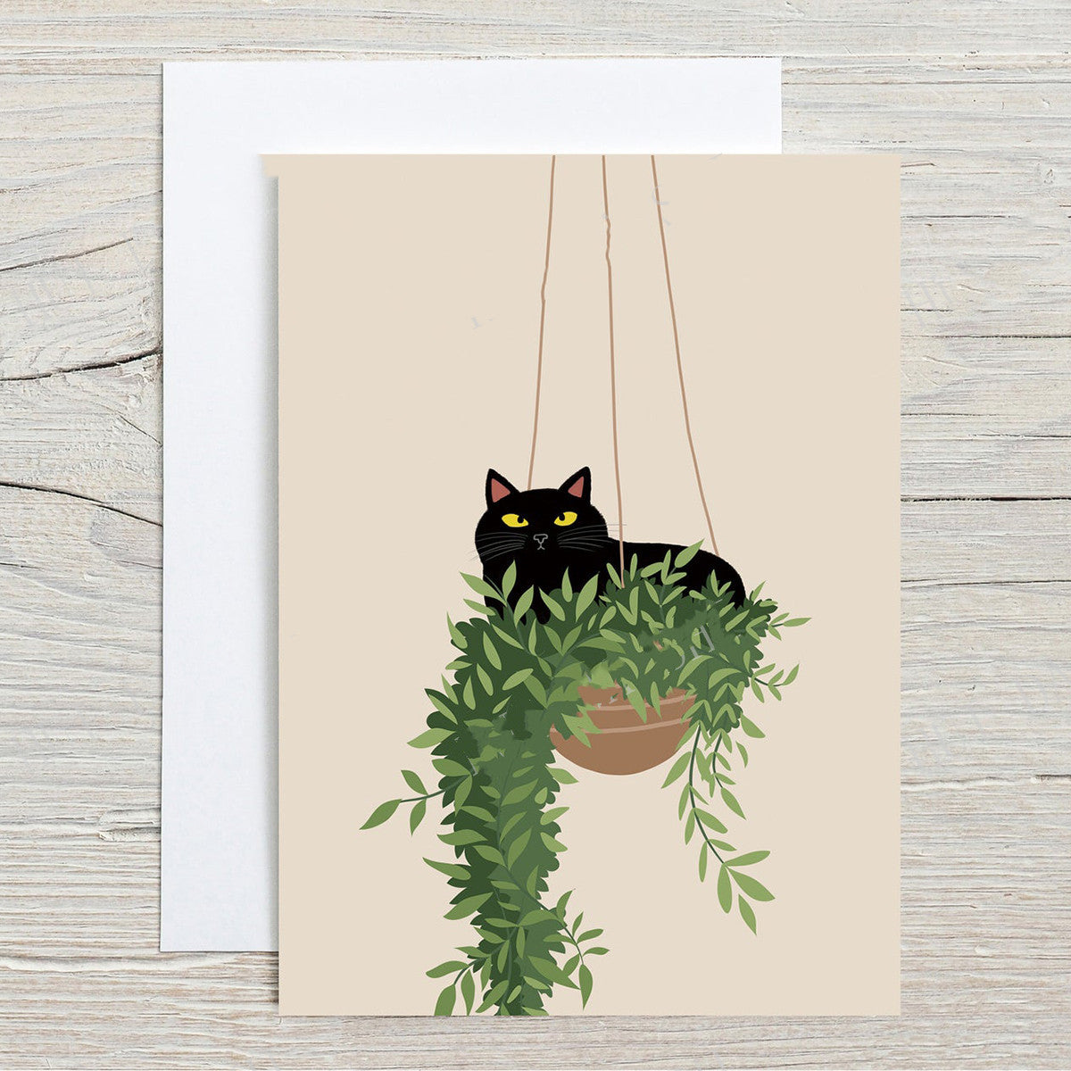 Whisker Whimsy: Framed Cat and Plant Wall Art