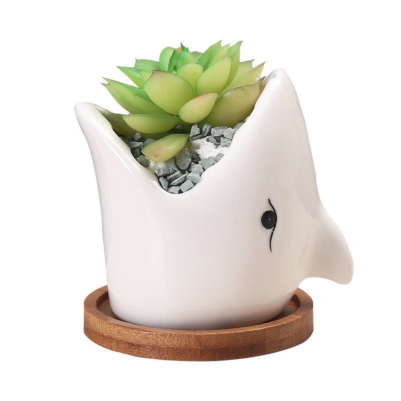 shark succulent Ocean's Guardian: Shark-Shaped Plant Pot – Decorum Design Co