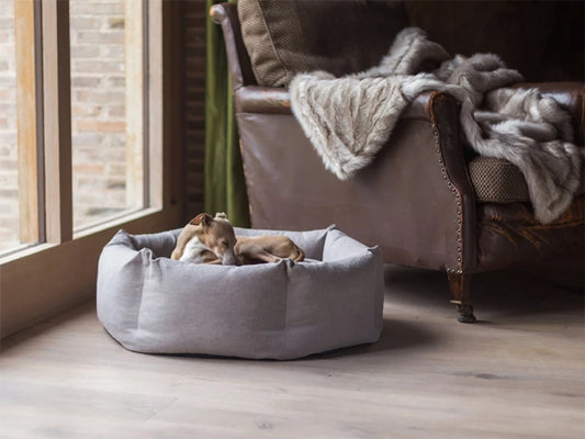 Cozy Paws Pet Bed