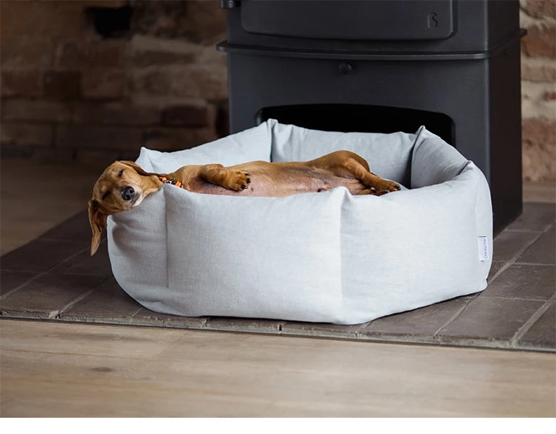 Cozy Paws Pet Bed